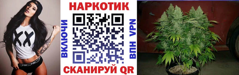 A-PVP Чаплыгин